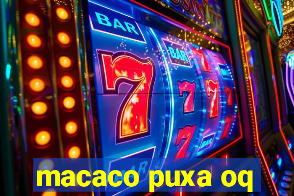 macaco puxa oq